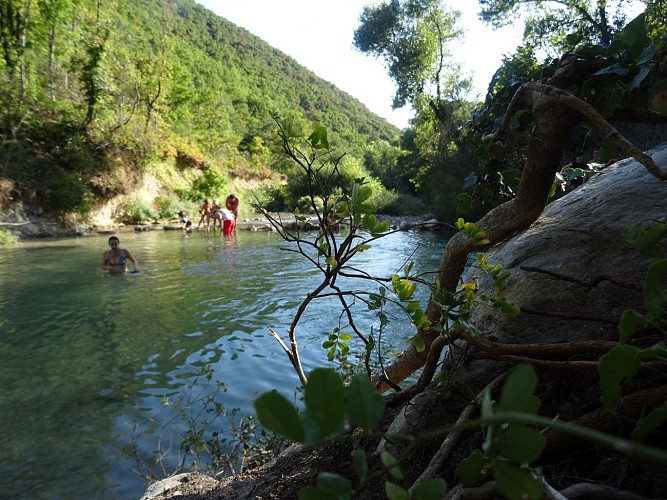 Camping Domaine la Belle Verte