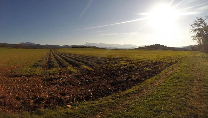 Camping Domaine La Belle Verte