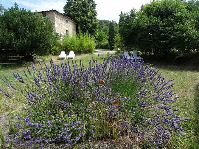 Camping Domaine La Belle Verte