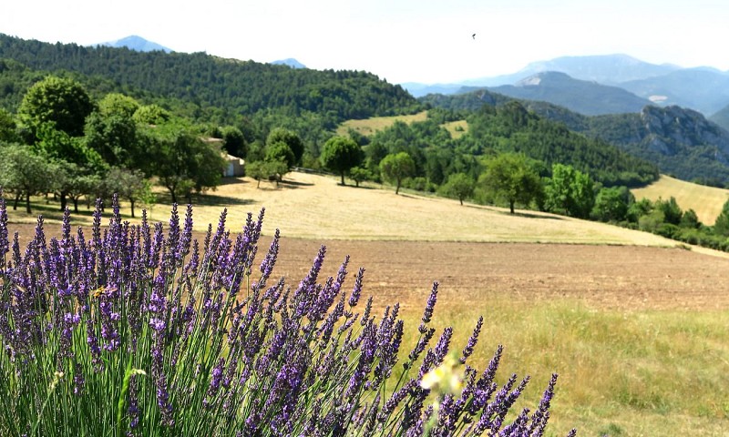 La Grange aux volets bleus