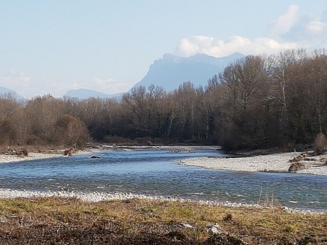 Maison XV - Restaurant