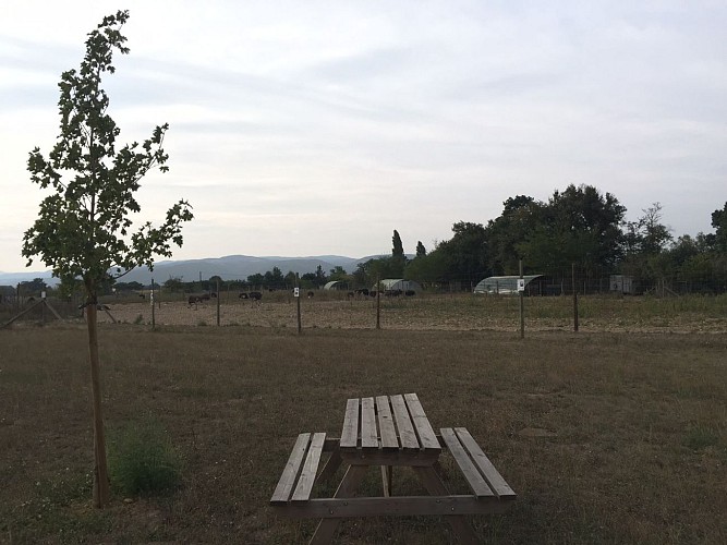 Aire d'accueil camping-cars à la ferme