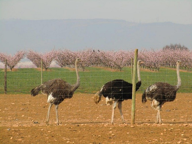 Aire d'accueil camping-cars à la ferme