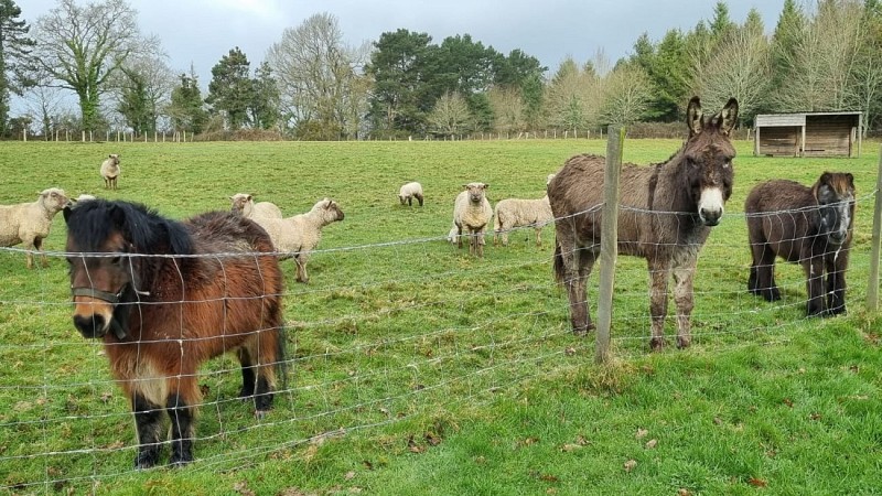 Aire naturelle de la Ferme du Forsdoff