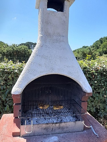 Camping - Les Amis de la Nature