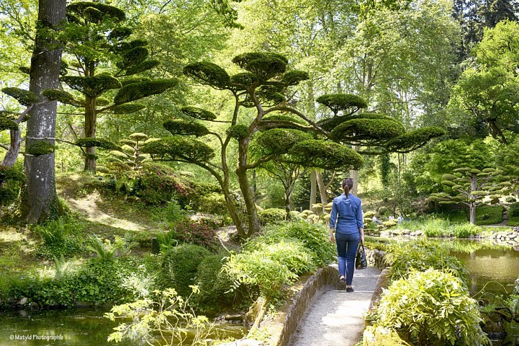 Parc Oriental de Maulévrier