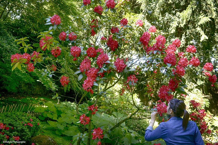 Parc Oriental de Maulévrier
