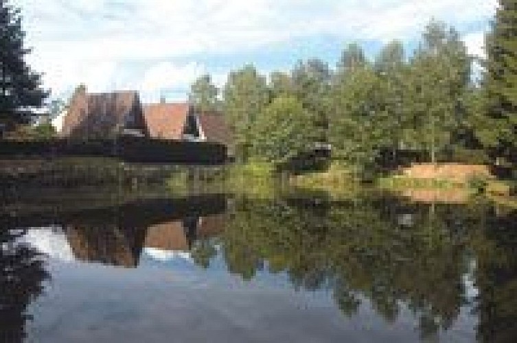 Locations au Camping les Pinasses