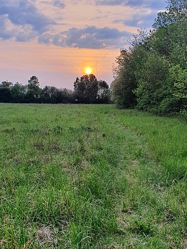 Camping La Vallée des Vignes