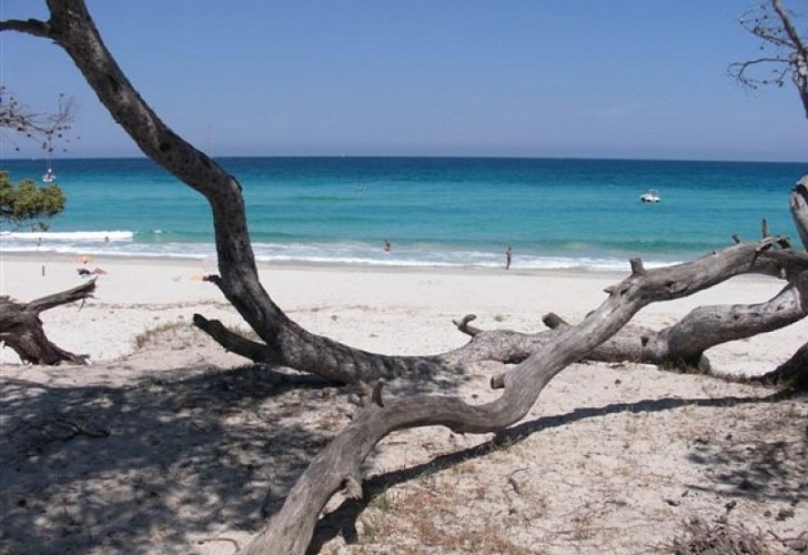 LE RELAIS DE SALECCIA_10_10