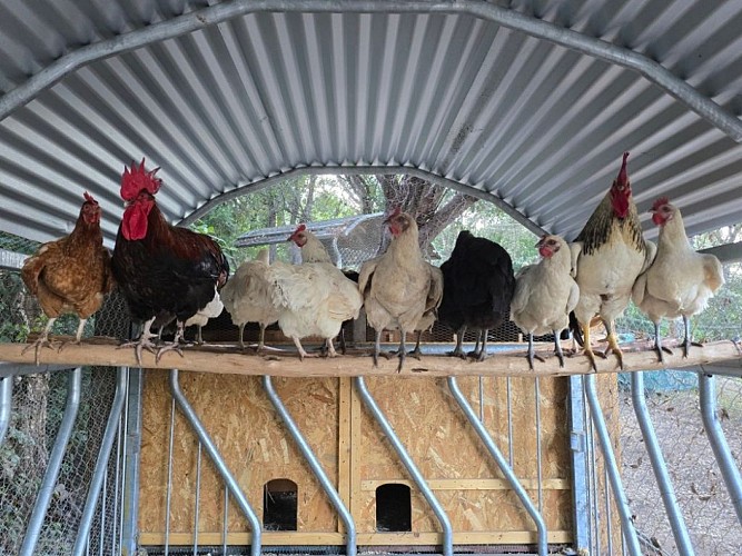 format tourinosft - 3