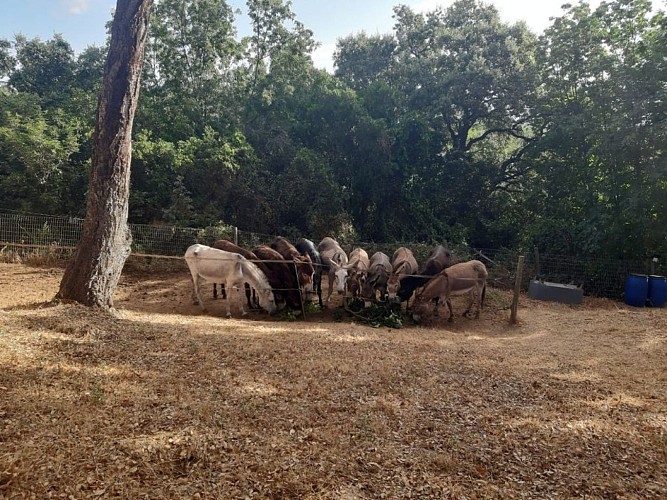 format tourinosft - 7