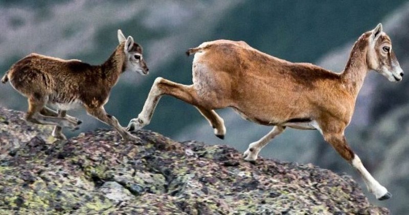 U MUVRINU RANDONNEES