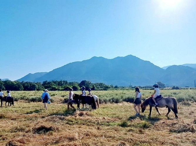 photos format tourinsoft - 7