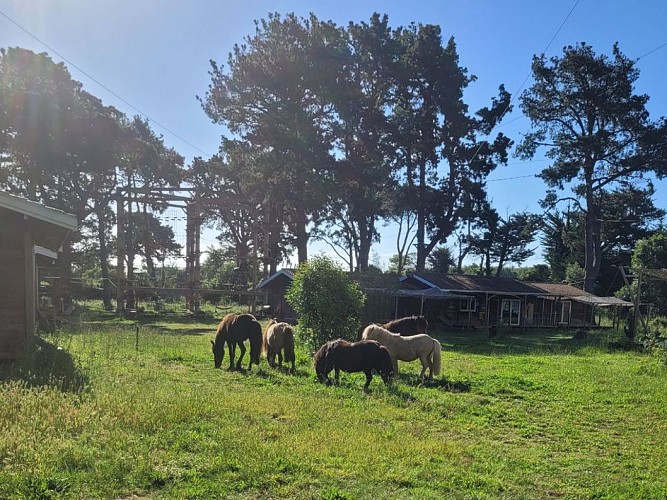 photos format tourinsoft - 3