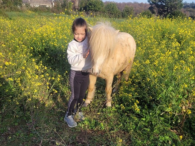 photos format tourinsoft - 6