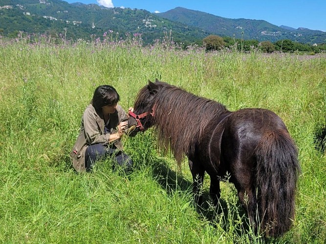 photos format tourinsoft - 5