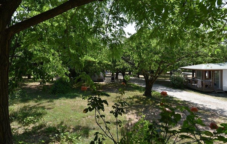 Camping le Pontet