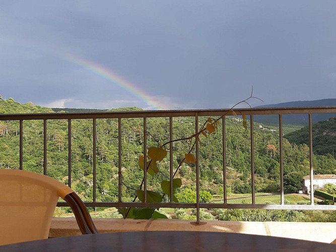 Restaurant Bar et Glacier "Les Tilleuls".