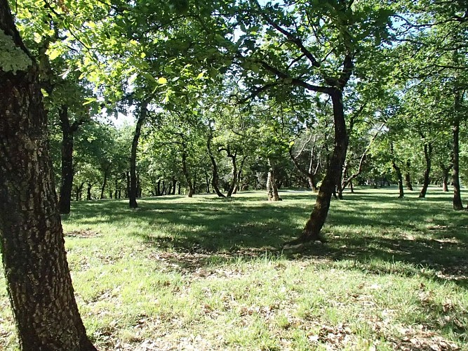 Campingplatz l'Ombrage
