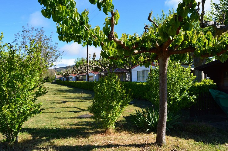 Camping International