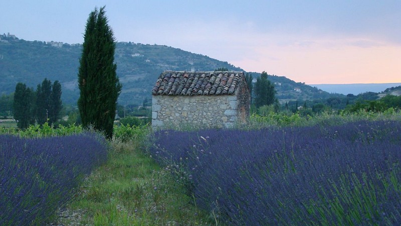 Yelloh ! Village Domaine de l'Esquiras