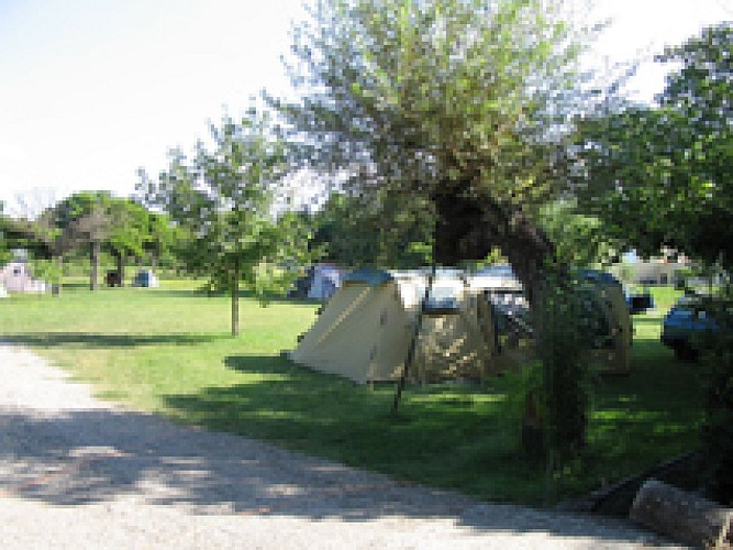 Camping à la ferme les Mazes