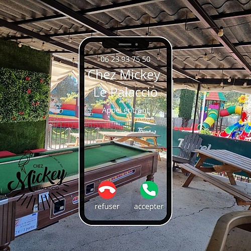 Chez Mickey le Palaccio