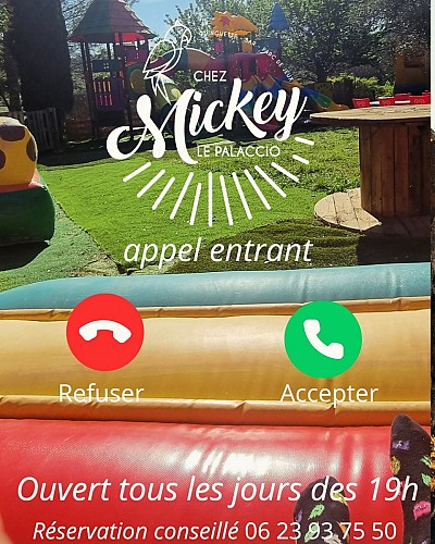 Chez Mickey le Palaccio