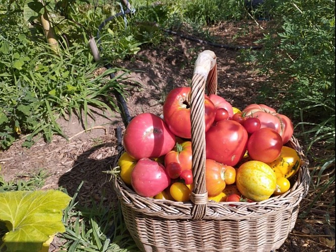 Restaurant, bar à vins, caviste de Châmes