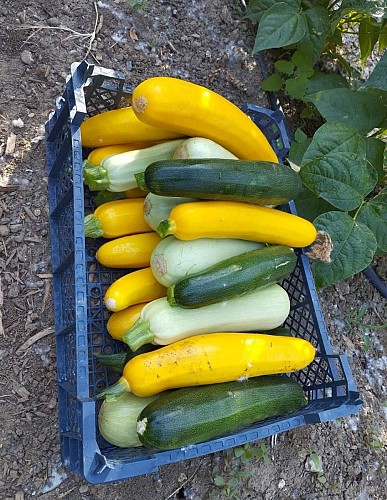 Restaurant, bar à vins, caviste de Châmes