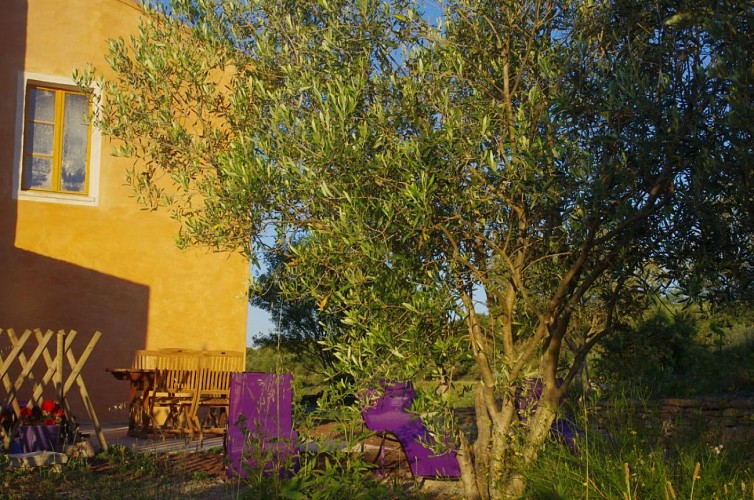 Domaine Oléicole Biologique de Pontet Fronzèle : La Maison d'hôtes