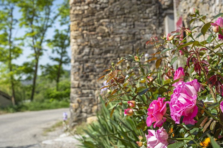 Le Mas de La Chadenède