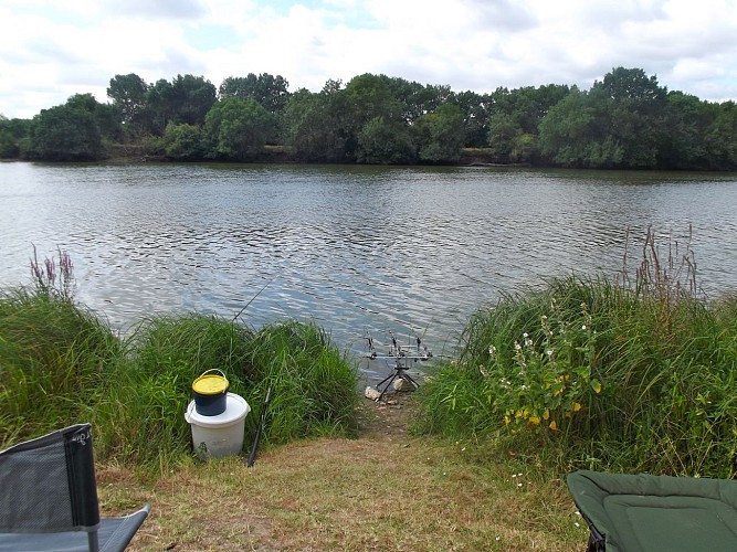 Pêche sur la Boire du Seil
