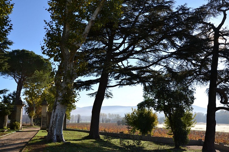 Hôtel Villa Walbaum****