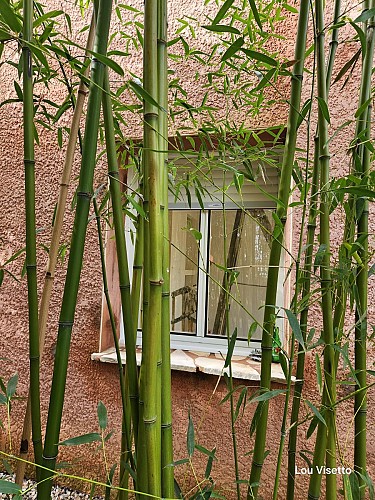 Lou Visetto - Bed and breakfast voor 2 personen Amarina en Pastourela