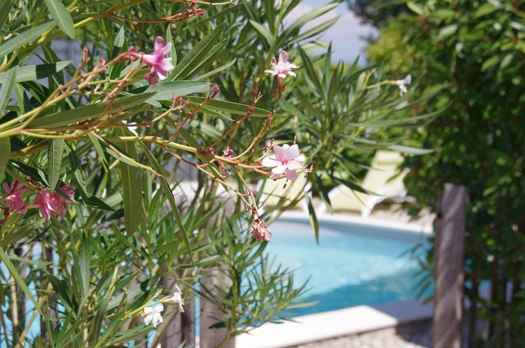 B&B de Mr. Faugloire Gabriel