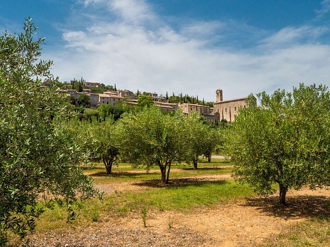 Aire de camping car "Camping car park"