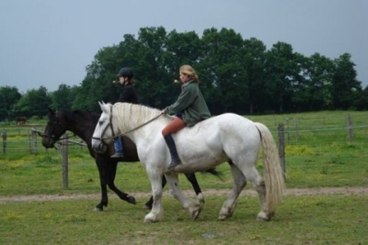 CENTRE EQUESTRE DES RONCINNIERES