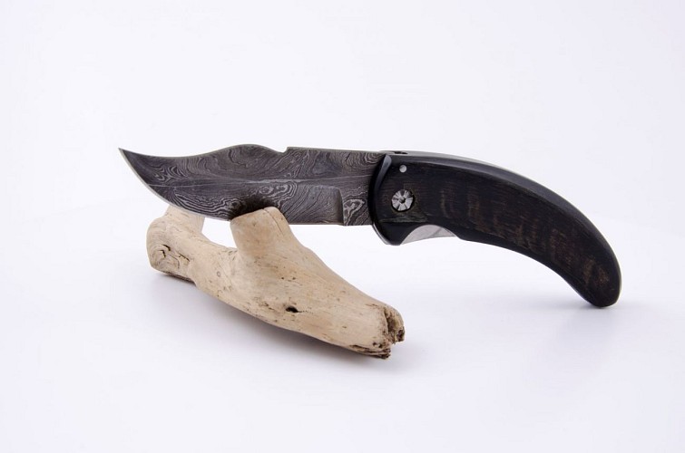 lesterrassesdaragon-coutelletie-bonifacio_Cursina Corne de B+®lier Damas