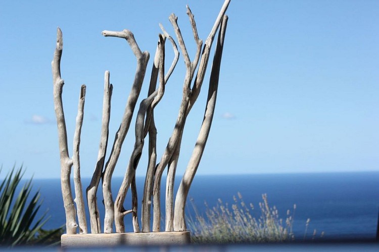 PHOTO-ACCEPTEE-PAR-CHANTAL-51