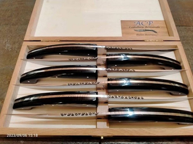 480881726-651876914066125-4658205345030337730-n