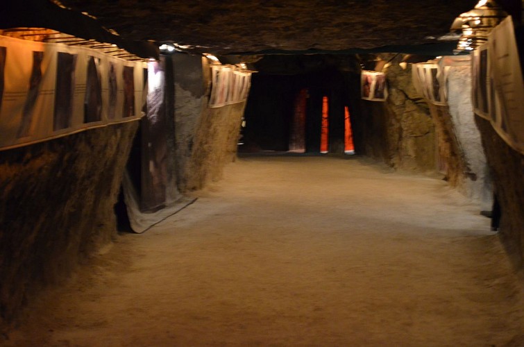 Cave Vivante du Champignon