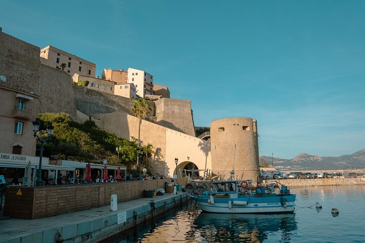 ©ALOÏS BOLOU - BALAGNE-220 - Copie