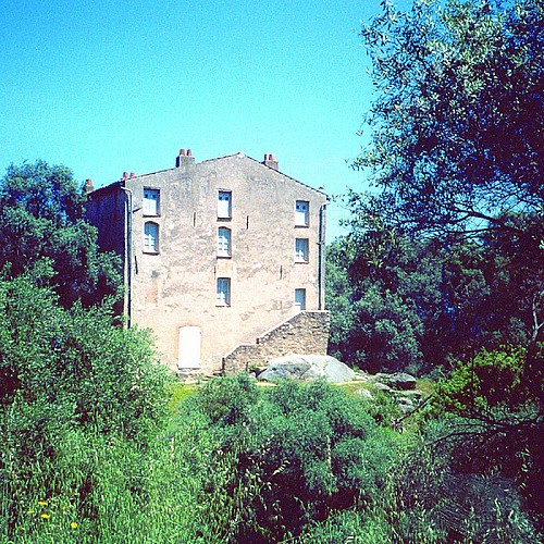 Parc et maison des Milelli_1