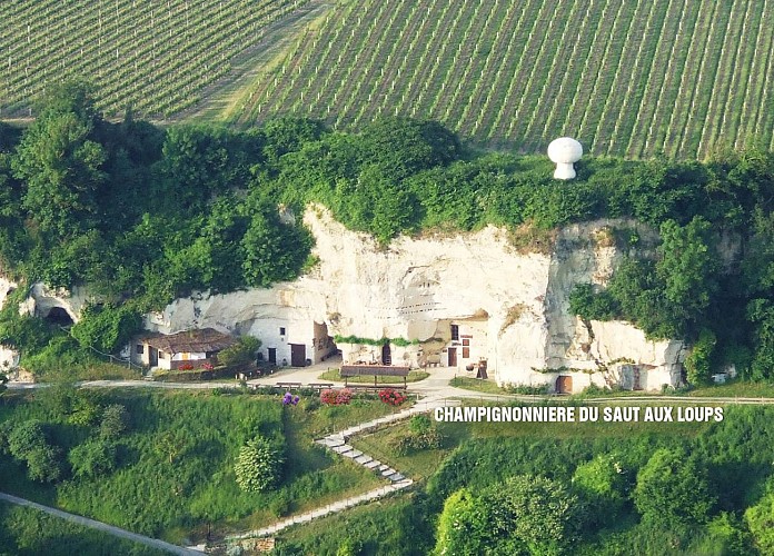 La Champignonnière du Saut aux Loups