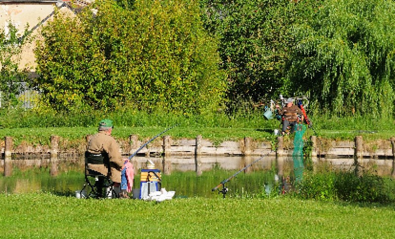 PLAN D'EAU LE VIEIL BAUGE