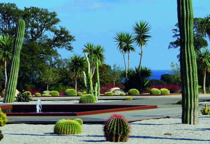 Jardins Cactus_10
