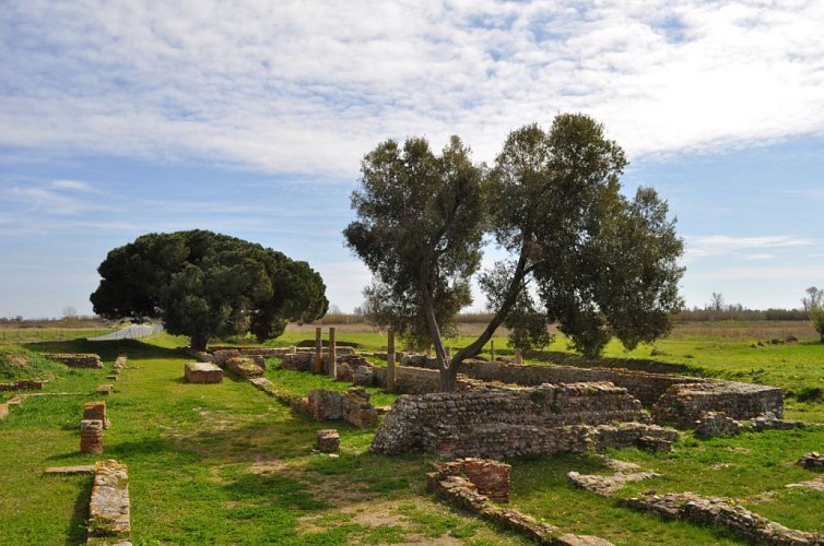 SITE2---Musee-de-Mariana