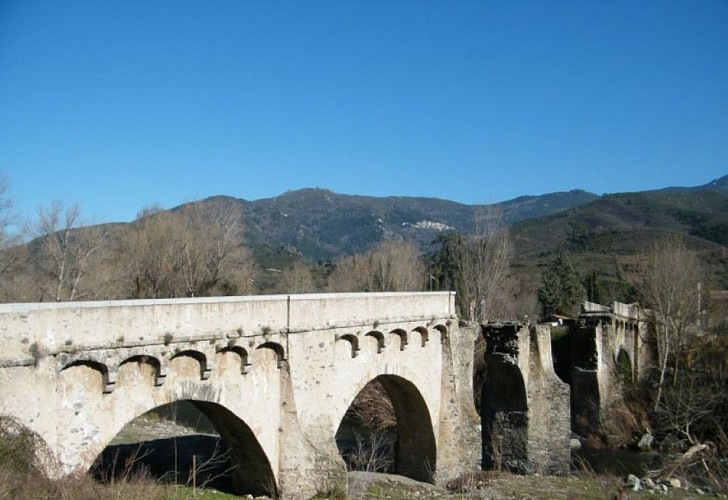 PONTE NOVU - PONTE NUOVO